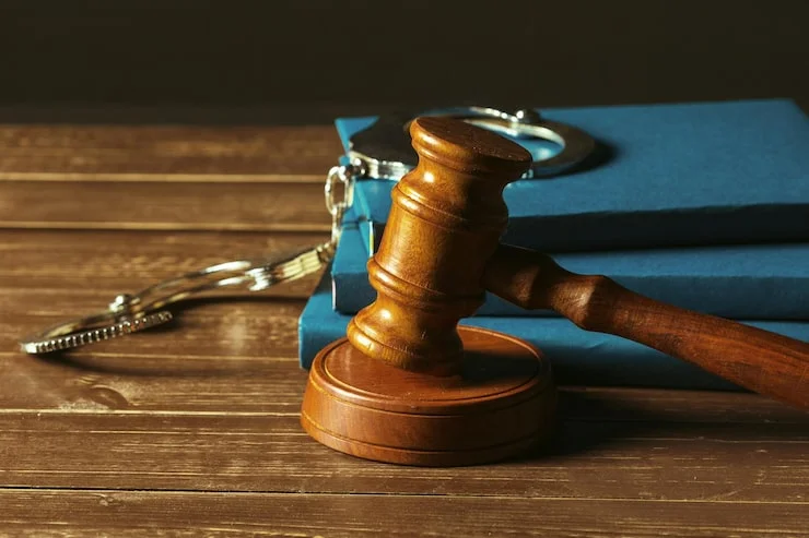 Court Case Help Specialist - Mastervishnu